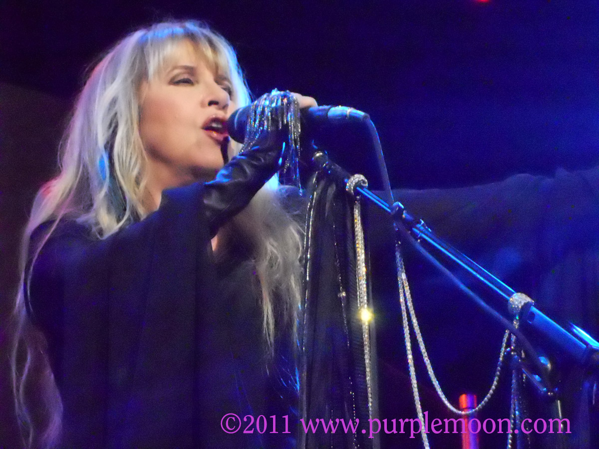 stevie