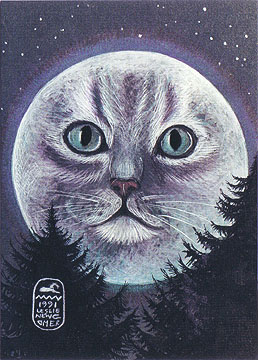 cat-moon.jpg